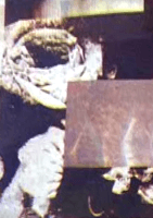 アートブック「敗走」